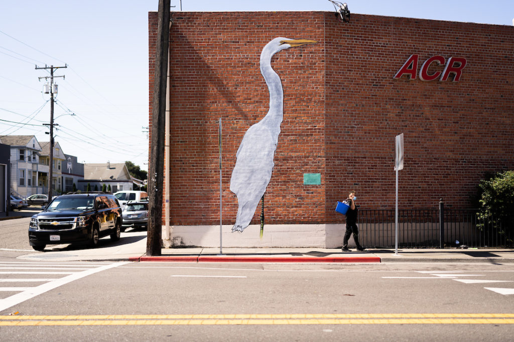 Egrets with no Regrets mural